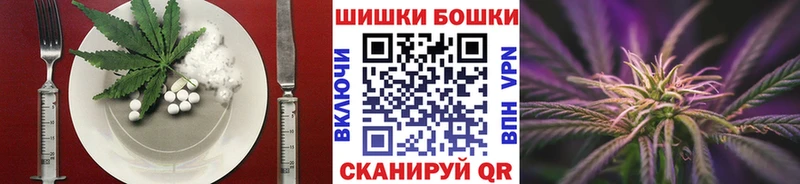 Купить где Нерчинск Canna-Cookies конопля